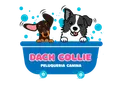 Proyecto Dach Collie desarrollado por HazloMejor en CL
